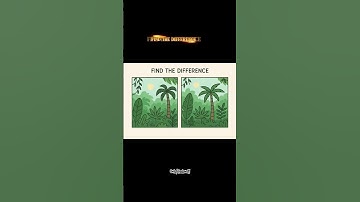 "Only 5% can spot all 7 differences! Can you?"