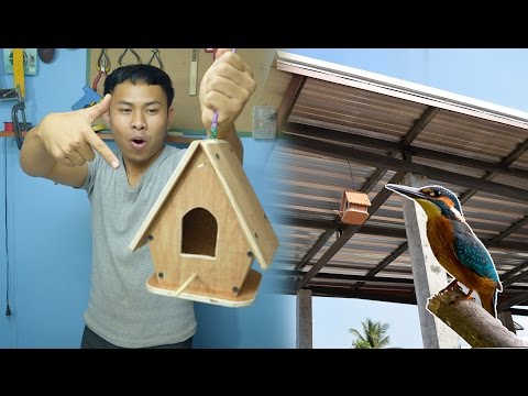 สร้างบ้านให้นกอยู่ l Make a house for birds