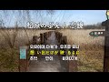松原のぶえ / 恋鏡