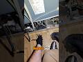 Fridge not cooling. Find the dog in this video #fridgerepair