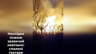 Масштабна пожежа на території Донецької селищної територіальної громади
