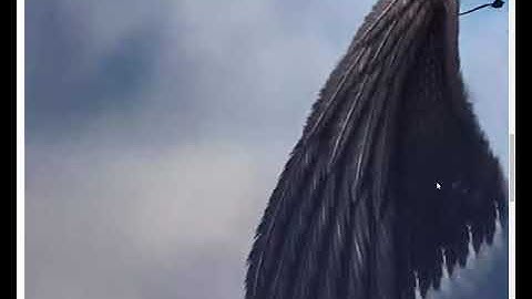 LEDP LOT-4 Web Design and Development Course || Class No: 01 || part-03 (WDD03)