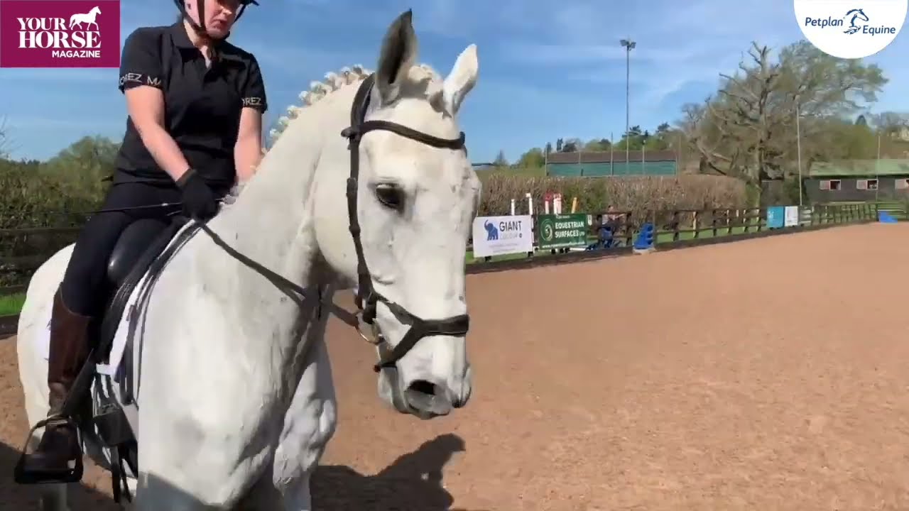 Maximise your prelim dressage marks and ride your best test yet with  Charlie Hutton | Your Horse