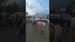 alca activity horse riding#berkuda