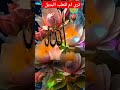 احنا مش شاغلنا 