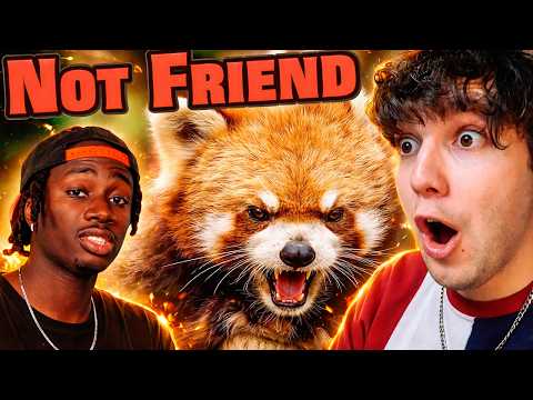 Red Pandas are NOT What You Think They Are | Casual Geographic | **REACTION**