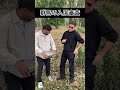 群馬の入国方法#shorts