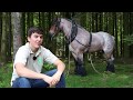 Antoine, 17 ans, débardeur et amoureux des chevaux de trait