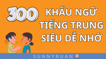 KHẨU NGỮ TIẾNG TRUNG - PHẢN XẠ 300 CÂU THƯỜNG GẶP NHẤT |  SUNNY RUAN