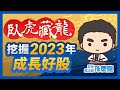 【臥虎藏龍】挖掘2023年成長好股