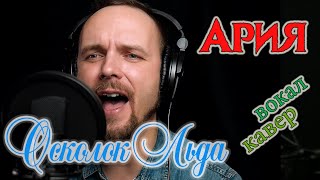 Осколок льда - Ария (кавер версия) vocaluga