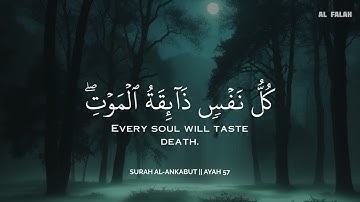 ساعة كاملة🕛🎧 | تلاوة القران بصوت  أحمد الشلبي  للدراسة والتركيز 📚 | راحة نفسية😌 | Ahmad Al Shalabi