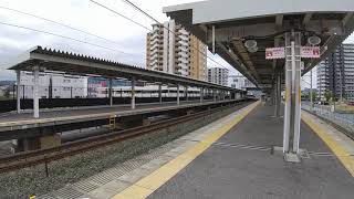 EF210牽引貨物列車(上り)相見駅通過&313系(下り)相見駅到着～出発まで