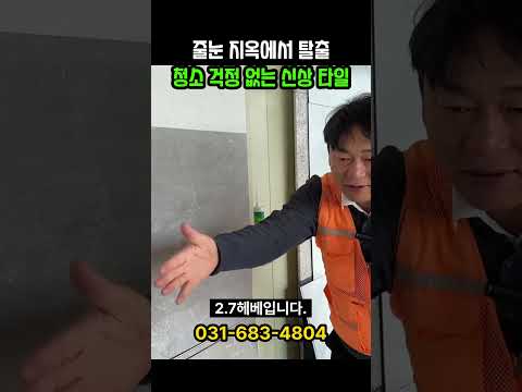 줄눈 지옥에서 탈출 청소 걱정 없는 신상 타일