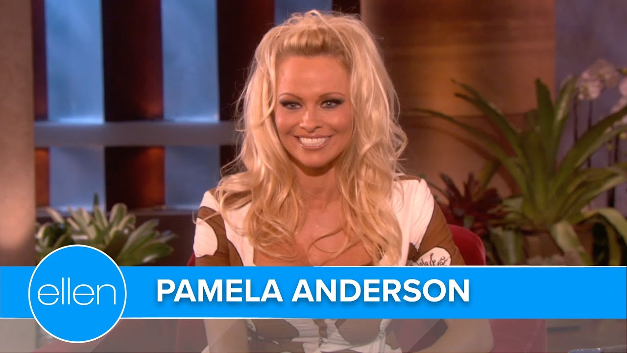 Pamela Anderson’s Construction Nightmare (Season 7)