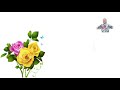 كل ما انسالك كلامك | شرين عبدالوهاب