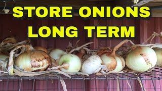 THE BEST WAY TO STORE ONIONS... LONG TERM STORAGE HACK