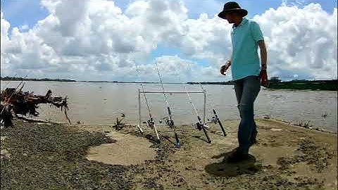 Cầu Mỹ Lợi 1 cần dính 2 con cá ngát