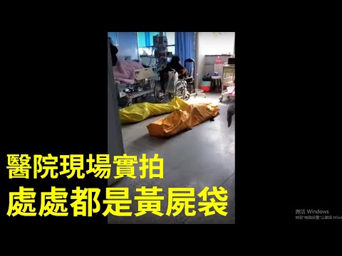 慎入：恐怖！医院病房如停尸房 武汉成“死亡之城”