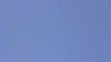 ALIGN T-rex 700N Blade Stop Crash @ IRCHA 2011