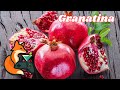 Che cos'è la Granatina? Scopriamolo insieme e vediamo come prepararla Home Made