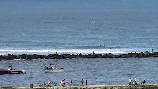 Live Surfline Florida Cam Captures Spinner Sharks