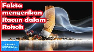 HOT NEWS!!! Fakta Mengerikan Racun Berbahaya dalam Rokok - Zat-Zat Berbahaya di Satu Batang Rokok