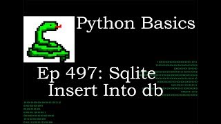 Python Basics Insert Data Into Database