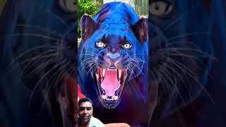 pantera gigante#funny5G3.3K Likes339,201ViewsApr 1 2026