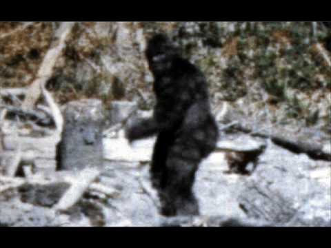 Cryptozoology Photos- Do They Exist?