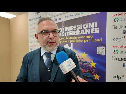 L'europarlamentare Denis Nesci: "Europa, giovani, Sud, PNRR, Ponte sullo Stretto. Vi dico la mia"