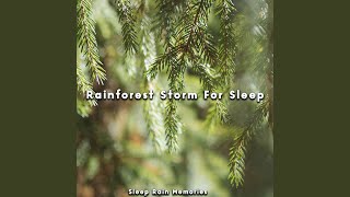 Rain for Sleep
