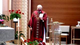 Mass: Pentecost 2020 (St. Regis Catholic Parish)