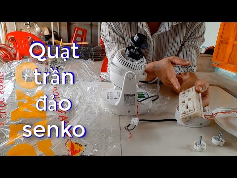 Video quạt trần đảo senko TD- 105(senko island ceiling fan... - youtube