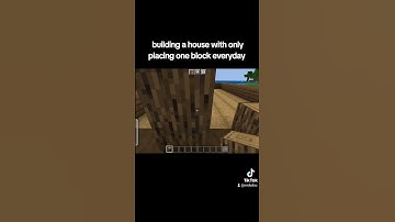 building a house with only placing one block everyday(day 117) #oneblockaday