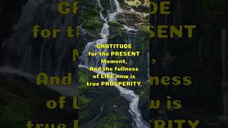 Gratitude Is True Prosperity 🙏✨ | #motivation in 30 #second