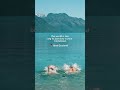 New Zealand is a place like no other!