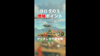 【バグ】コログのミ増殖ポイント【ゼルダの伝説 ブレスオブザワイルド】