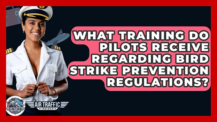 What Training Do Pilots Receive Regarding Bird Strike Prevention Regulations? - Air Traffic Insider