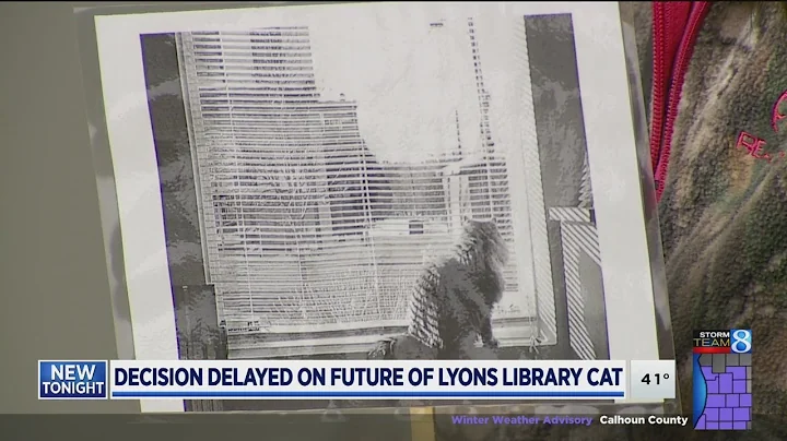 No final decision on fate of Lyons library cat