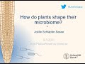 Joelle sasse schlpfer introduces her research on the plant rootmicrobiome interaction