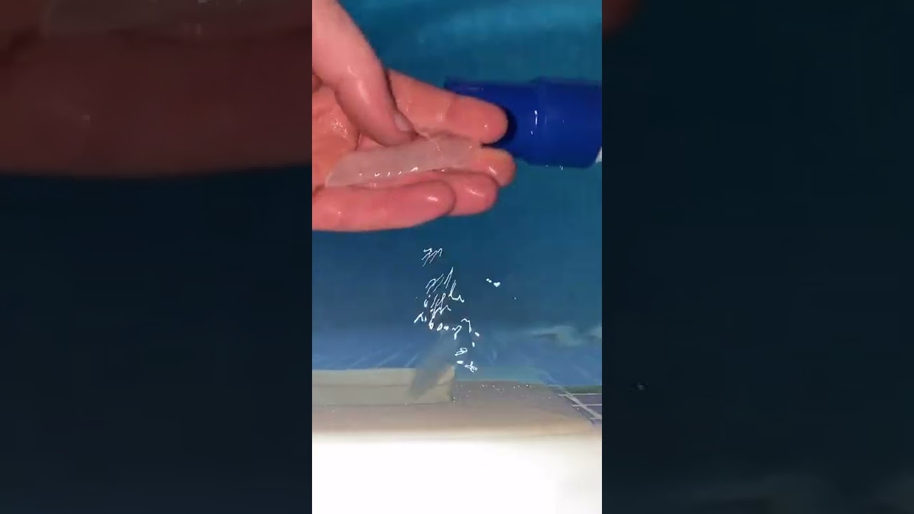 Cleaning The Pool & Maintenance 254 