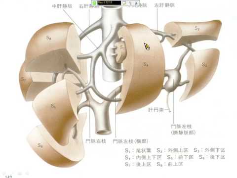 105-1超音波診斷技術學