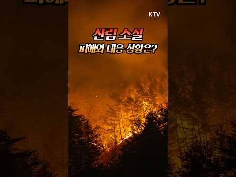 🚨산불 피해 <strong>특별재난지역</strong> 선포! 정부의 총력 대응, 피해 복구 어떻게 진행되나? #산불 #특별재난구역 #피해복구​