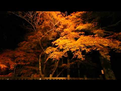 播州清水寺　紅葉ライトアップ2013