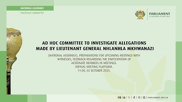 Ad Hoc Committee to Investigate Allegations made by Lieutenant General Mkhwanazi, 3 October 2025