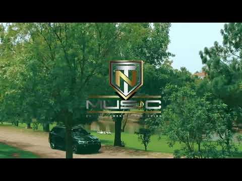 Noel Torrez 'Se