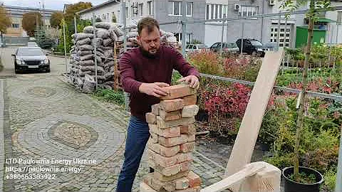 Очень важный эксперимент по Прочности Павловнии. Древесина Павловнии как строительный материал.