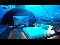 Breathtaking Underwater Hotels You MUST Visit!