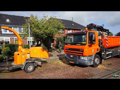 Appingedam kapt 60 Prunussen aan de Scharreweersterweg.